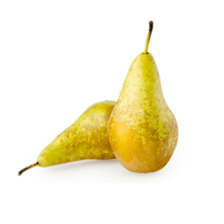 Gruszka konferencja (szt)