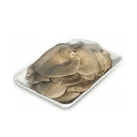 Boczniaki tacka (250g)