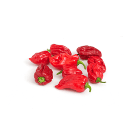 Papryka habanero czerwona