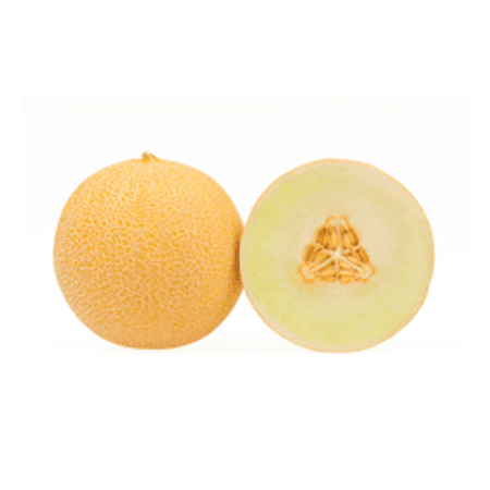 Melon Galia (szt)