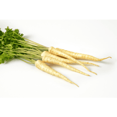 Pietruszka korzeń