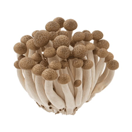 Grzyby Shimeji (150g) brązowe